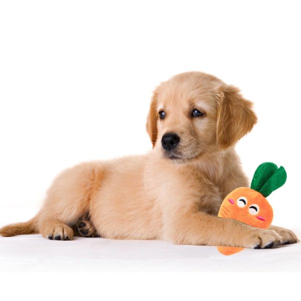 Carrot Dog Toy-2