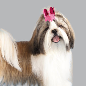 Pigtail-dog-hair-clip-pink