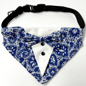 blue-motifs