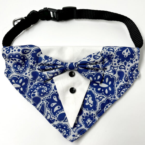 blue-motifs