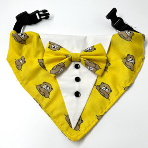 yellow-bear