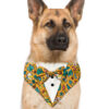 yellow-summer-tuxedo-dog