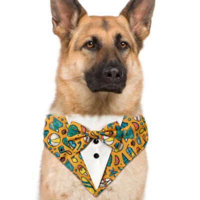 yellow-summer-tuxedo-dog
