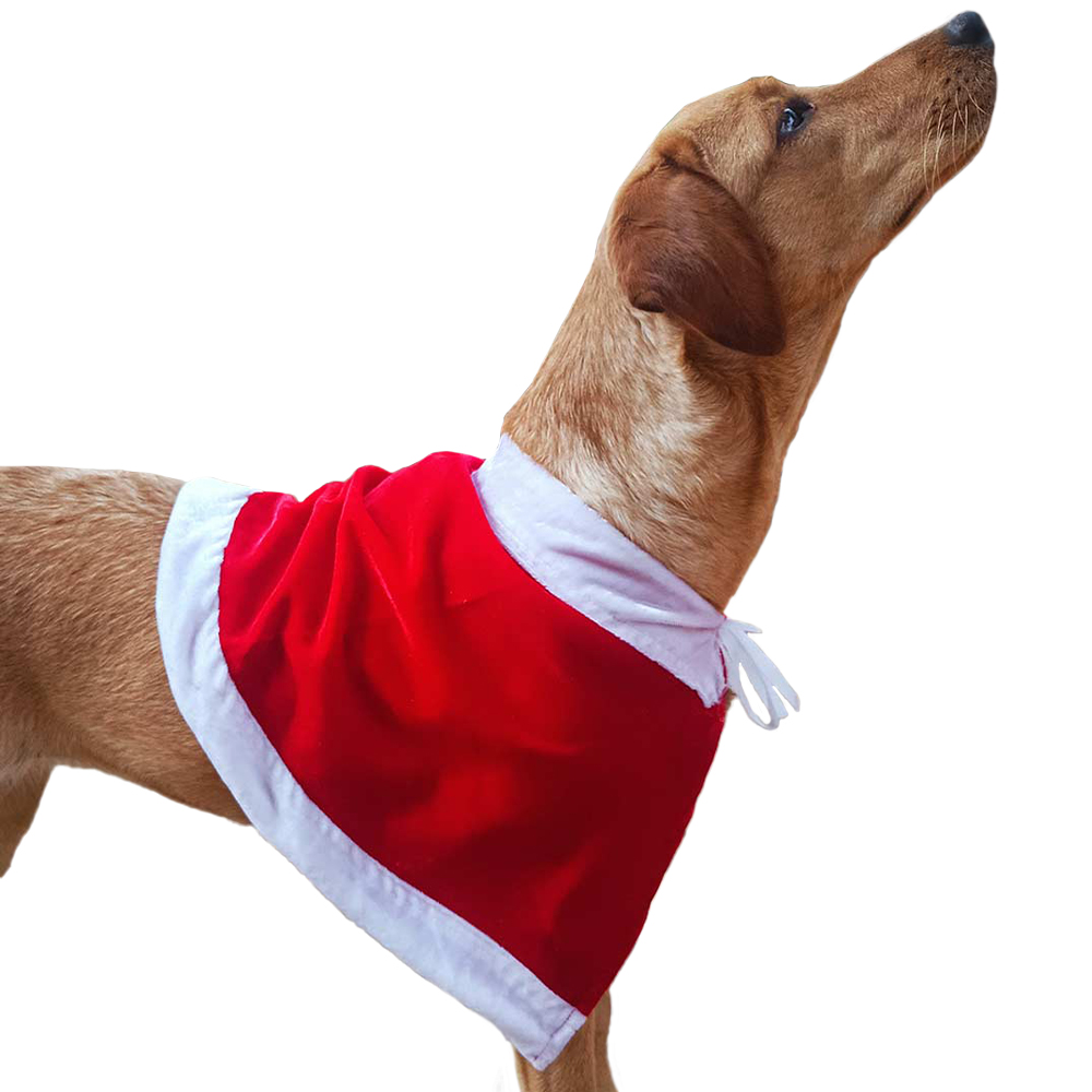 10 Santa Cape- Christmas costume for pets - Image 1