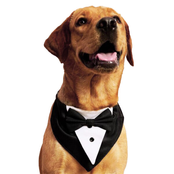 Tuxedo dog bandana - Image 1