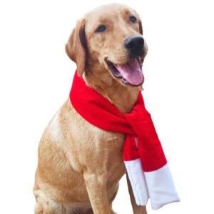 Santa Muffler- Christmas costume for pets