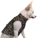 Navi Blue & Ivory sherwani for dogs- Combo of 2 - Image 3