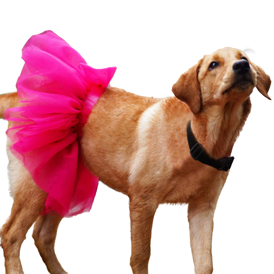 8 Hot Pink Tutu Skirt - Image 1