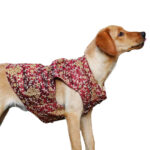 Aesthetic Maroon Sherwani