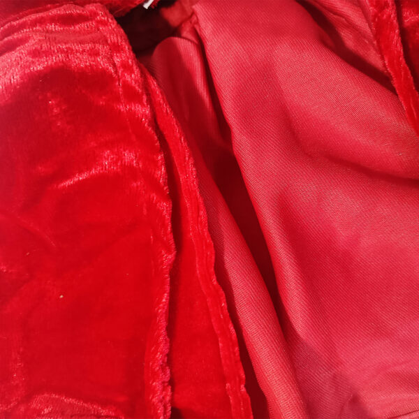 Cherry on Top Pet Velvet Dress - Image 4