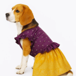 Pattu Traditional Dress- Yellow Violet