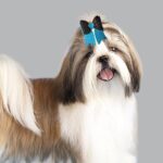 Blue Pigtail dog hair clip - Image 2