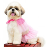 Pink Barbie Dress