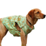 Melting Pista Sherwani