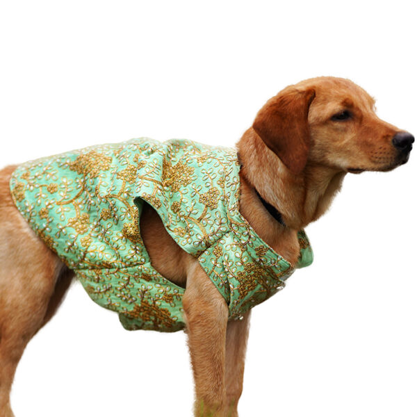 Melting Pista Sherwani - Image 1