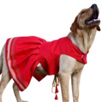 Parkar Polka Dog Festive Wear Spicy Red