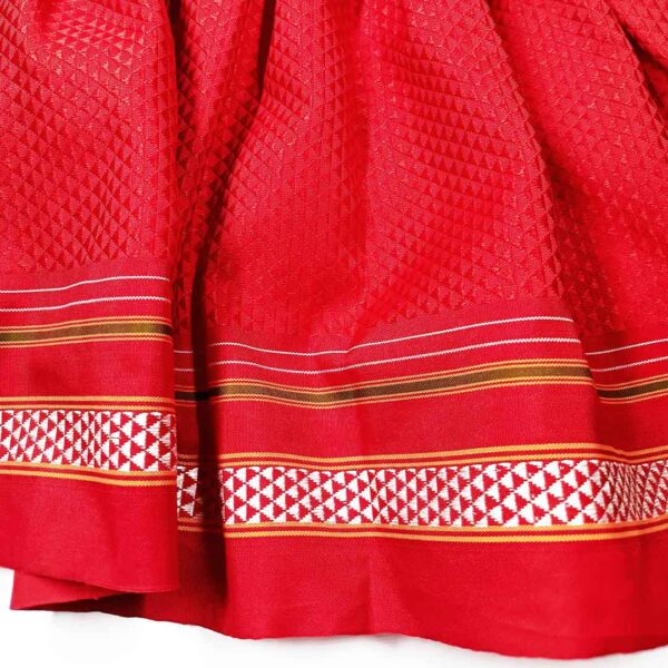 Parkar Polka Dog Festive Wear Spicy Red - Image 4