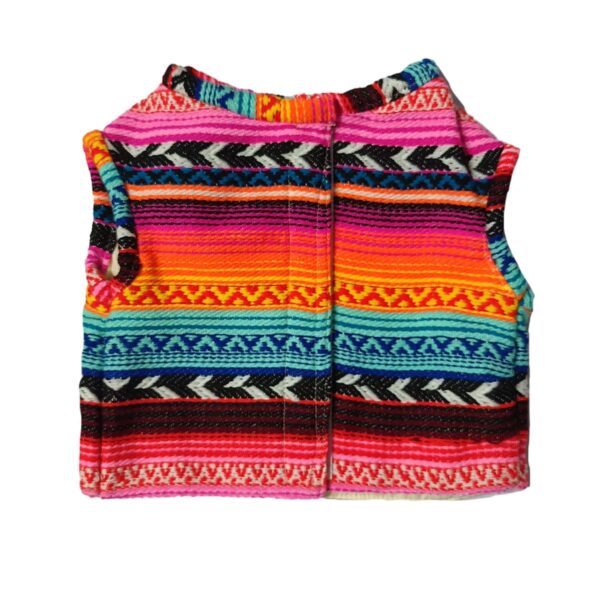 Pahadi Vibrant Crop Jacket - Image 1