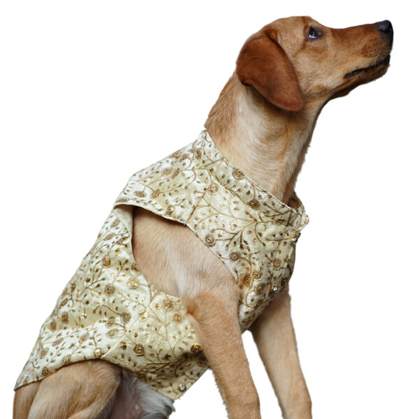 Contemporary Designer Sherwani - Image 1