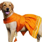Parkar Polka Dog Festive Wear Turmeric Yellow