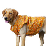 Marvelous Wedding Sherwani