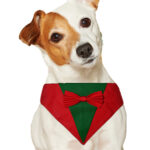 Christmas tuxedo dog bandana