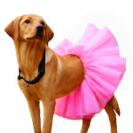 Pet Tutu Net Pink Skirt