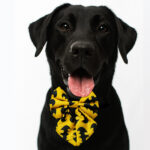 Batman Pigtail Bowtie