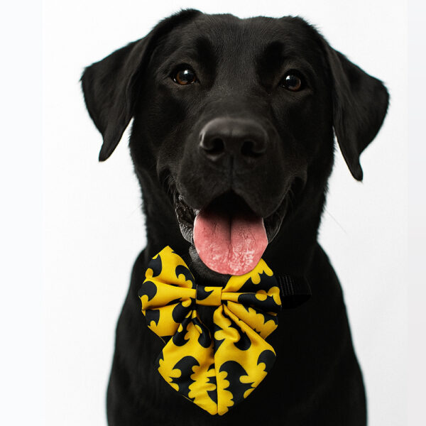 Batman Pigtail Bowtie - Image 1