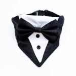 Tuxedo dog bandana - Image 2