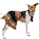 Chaniya Choli Black