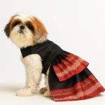 Parkar Polka Dog Festive Wear Black