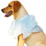 Blue furry Cape