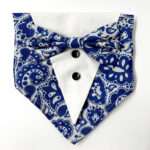 Blue Motifs Tuxedo bandana - Image 4