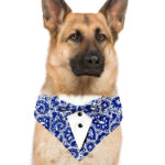 Blue Motifs Tuxedo bandana