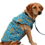 Maharaja Blue Sherwani