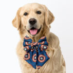 Captain America Pigtail Bowtie
