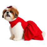 Cherry on Top Pet Velvet Dress