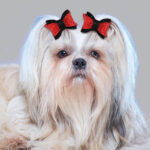 Red Tiktok dog hair clips(pair) - Image 2