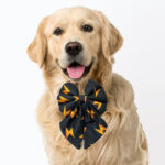 Super Speed Flash Pigtail Bowtie