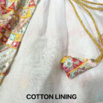 Pet designer lehenga choli - Image 6