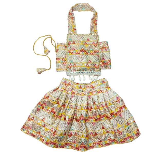 Pet designer lehenga choli - Image 2