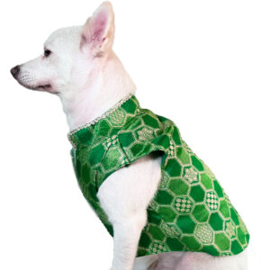 Green Silk Kurta