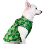 Yellow silk & Green silk kurta- Combo of 2 - Image 3