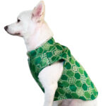 Dhoti Kurta Set & Green Silk Kurta- Combo of 2 - Image 2
