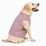 Nehru Jacket Lavender Sherwani