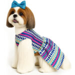Pahadi Pet Frock