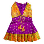 Paithani Dresses For Pets - Image 2