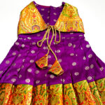 Paithani Dresses For Pets - Image 5