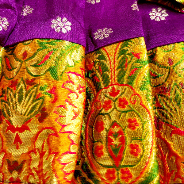 Paithani Dresses For Pets - Image 7